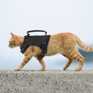 Zenwalk Storm Chiot et Chat- Harnais pour chien Collection Énergie respirant