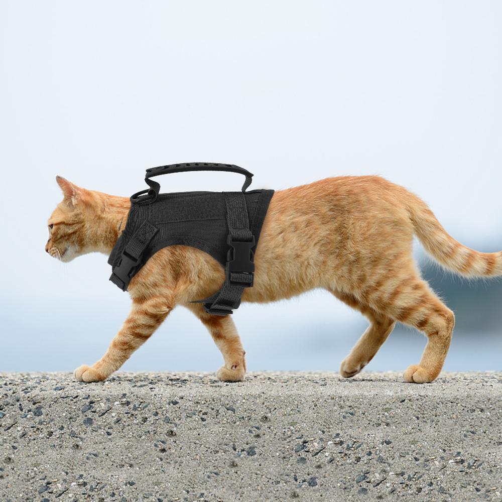 Zenwalk Storm Chiot et Chat- Harnais pour chien Collection Énergie respirant