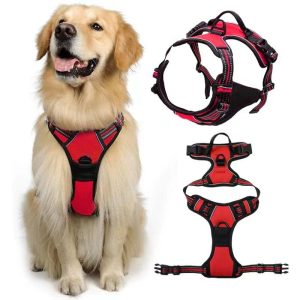 Zenwalk Baie rouge – Harnais pour chien Collection nature robuste