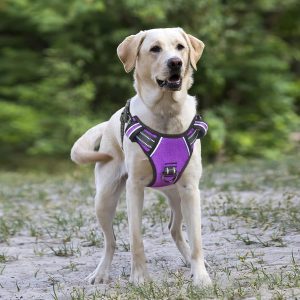 Zenwalk Lavande – Harnais pour chien Collection nature confortable