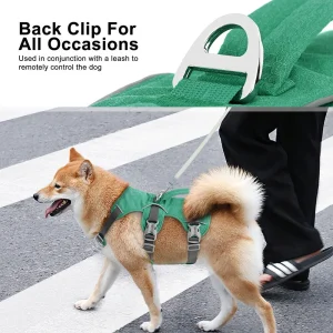 Zenwalk Onyx orange – Harnais pour chien Collection nature durable