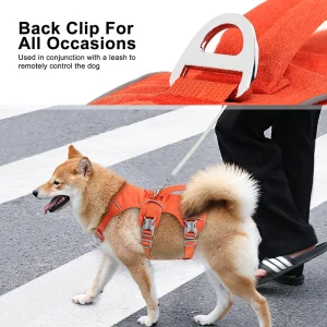 Zenwalk Onyx orange – Harnais pour chien Collection nature ergonomique et idéal pour le quotidien