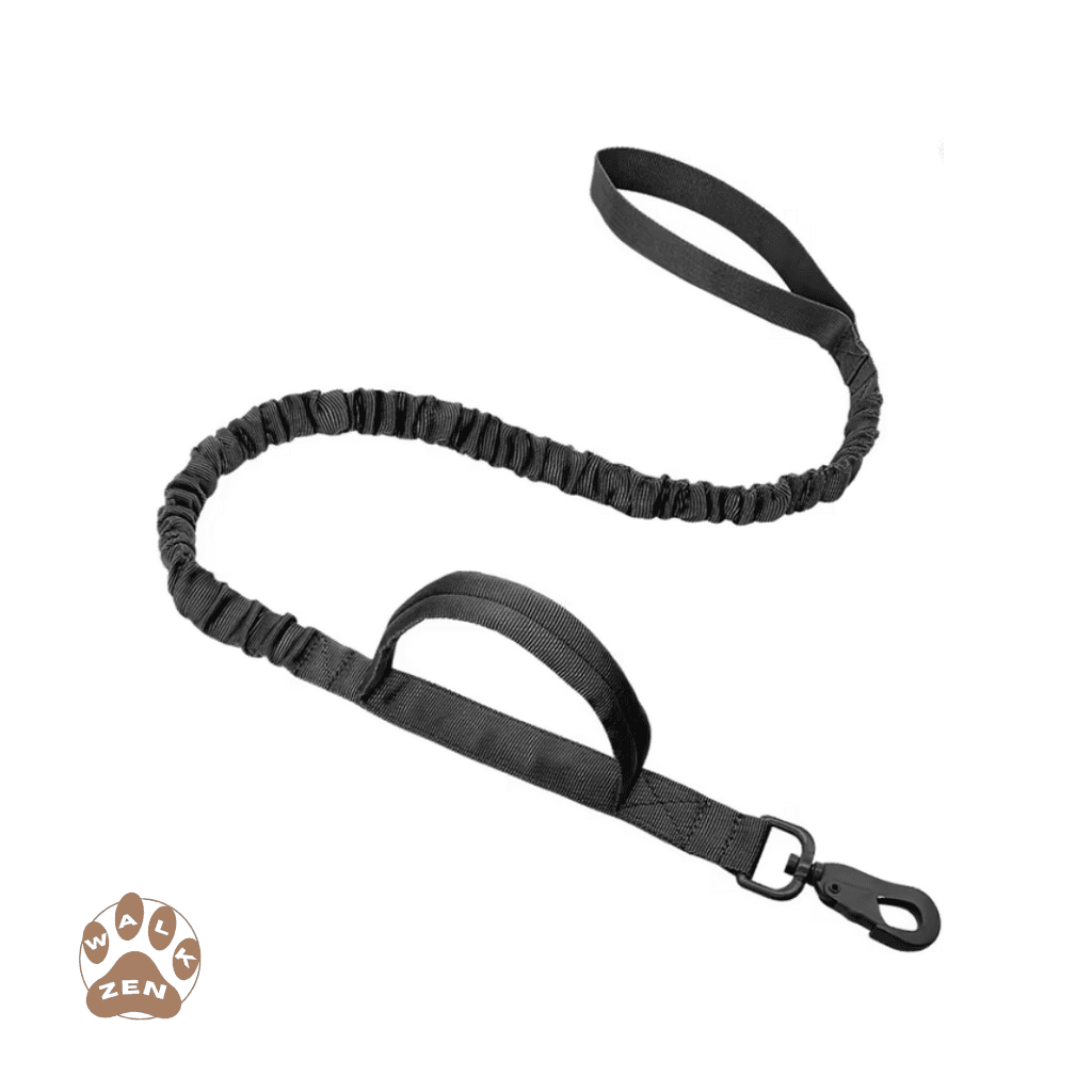 Zenwalk Camo Tactique – Laisse pour chien Collection Énergie – Noir (nylon) adapté à tous les chiens