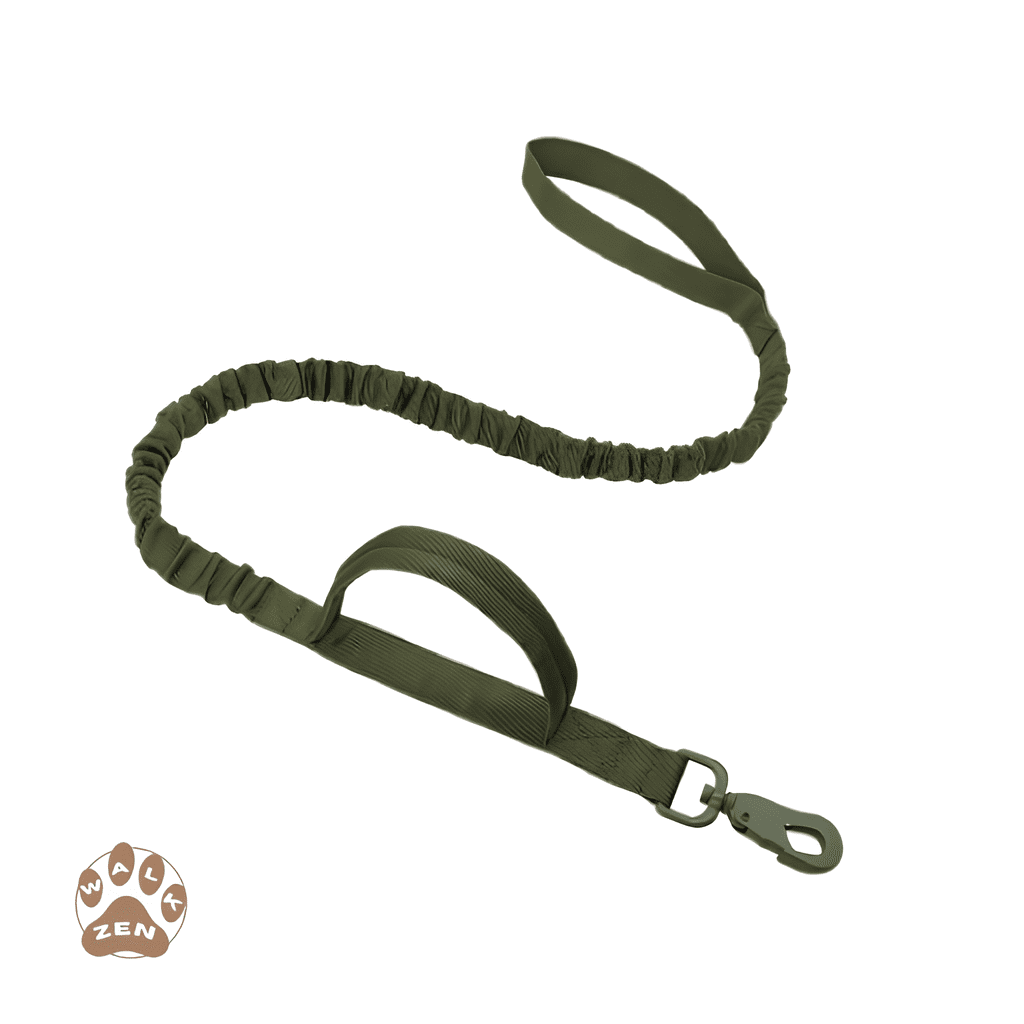 Zenwalk Camo Tactique – Laisse pour chien Collection Énergie – Militaire vert ajustable et robuste