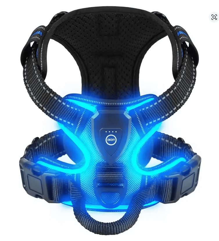 Zenwalk Volt – Harnais pour chien Collection Énergie – Bleu, S adapté à tous les chiens