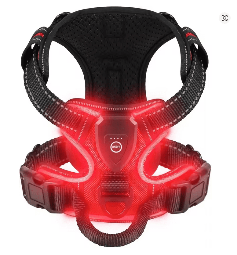 Zenwalk Volt – Harnais pour chien Collection Énergie – Rouge, XL robuste