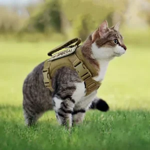 Zenwalk Shock Chiot et Chat- Harnais pour chien Collection Énergie idéal pour le quotidien et confortable