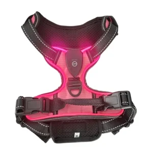 Zenwalk Volt – Harnais pour chien Collection Énergie – Rose, S adapté à tous les chiens et durable
