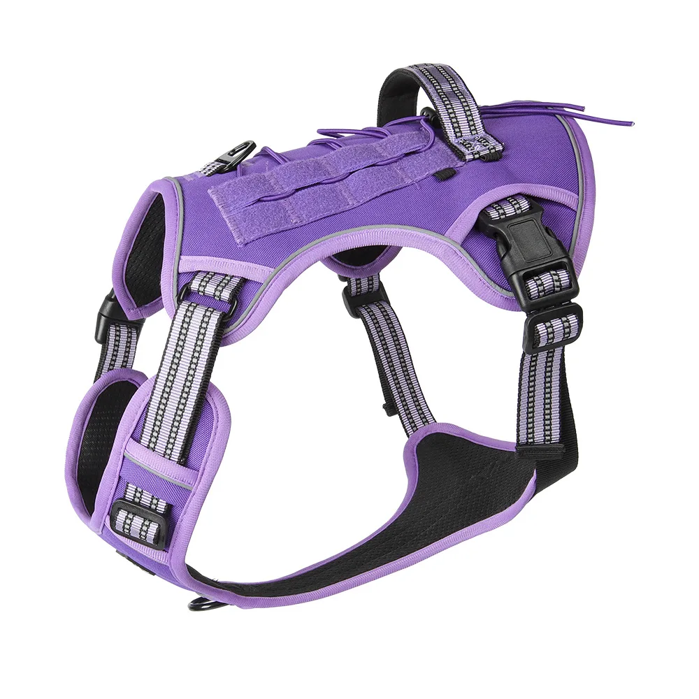 Zenwalk Jet – Harnais Collection Énergie – S, Violet (nylon) ergonomique
