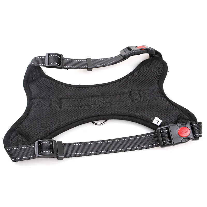 Zenwalk Éclipse – Harnais Collection élément de qualité et respirant