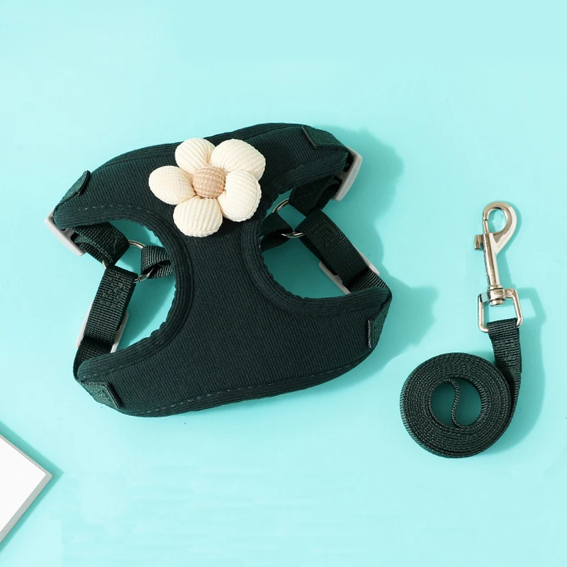 Zenwalk Candy – Pour Chiot et Chat Collection Dream – Vert foncé, XL confortable