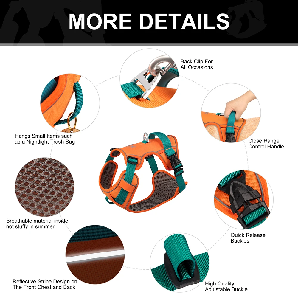 Zenwalk Aube – Harnais pour chien Collection élément durable et robuste