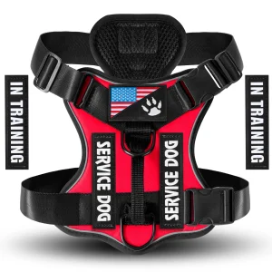 Zenwalk Amercian Phantom – Harnais pour chien Collection Énergie – Rouge, S adapté à tous les chiens