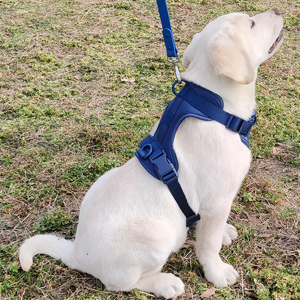 Zenwalk Corail – Harnais pour chien Collection Élement ajustable et durable