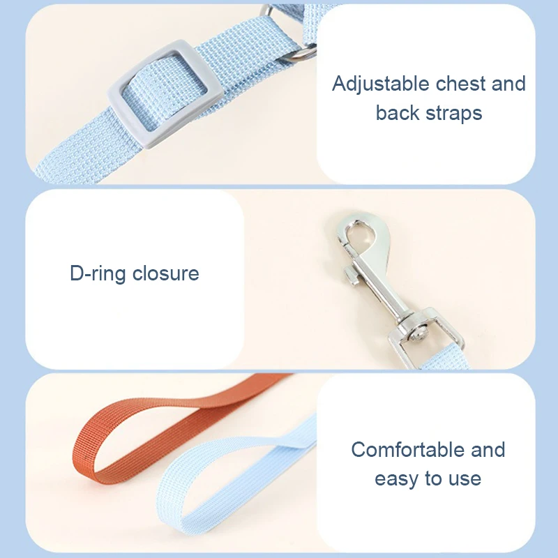 Zenwalk Candy – Pour Chiot et Chat Collection Dream durable et confortable