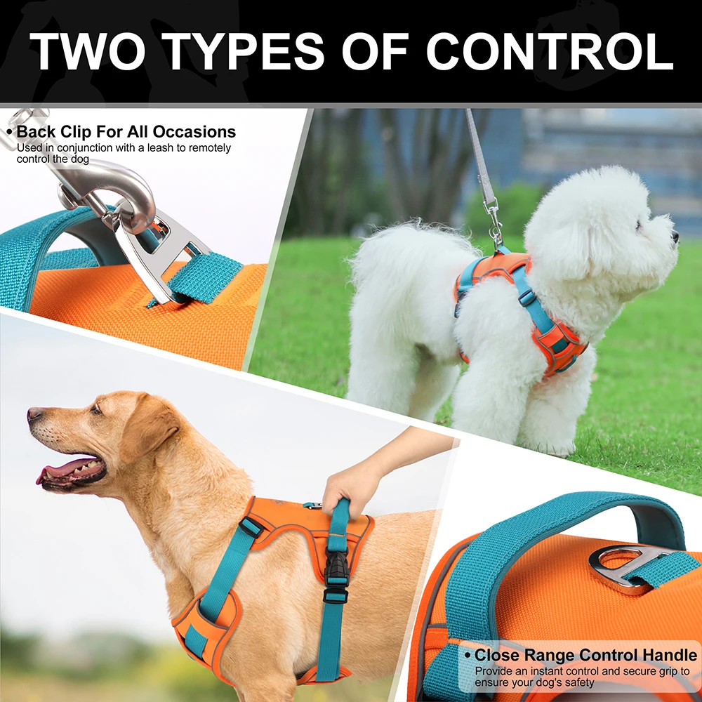 Zenwalk Aube – Harnais pour chien Collection élément respirant