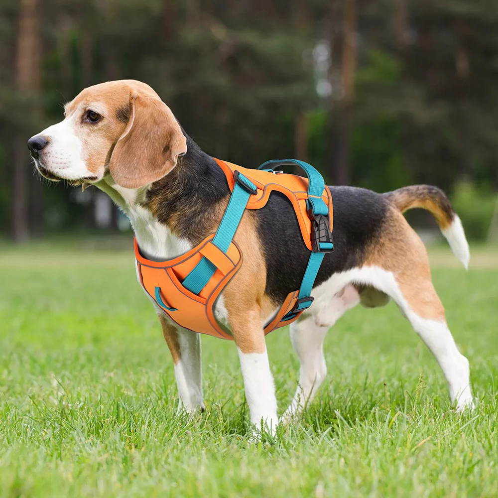 Zenwalk Aube – Harnais pour chien Collection élément confortable