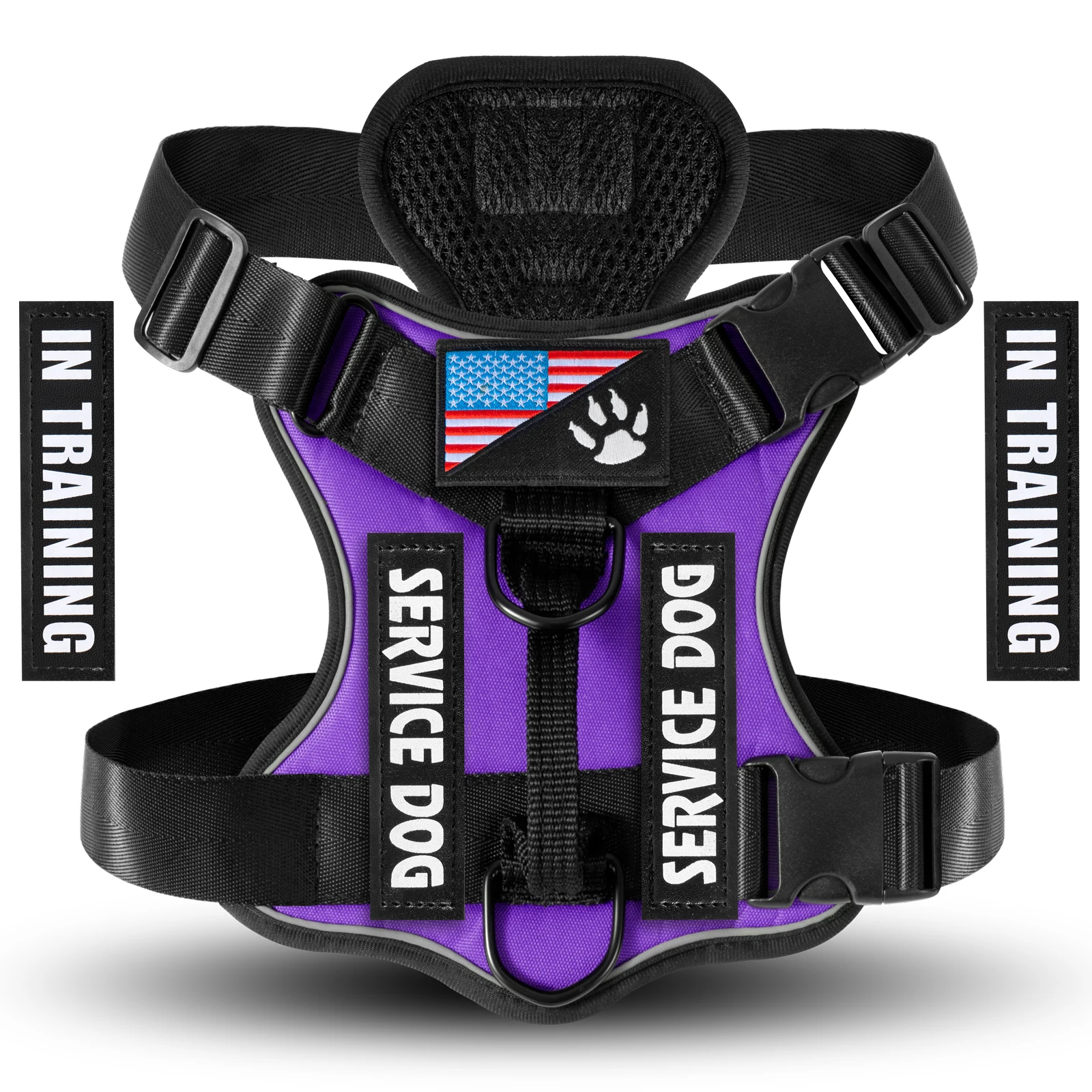 Zenwalk Amercian Phantom – Harnais pour chien Collection Énergie – Violet, M durable et respirant