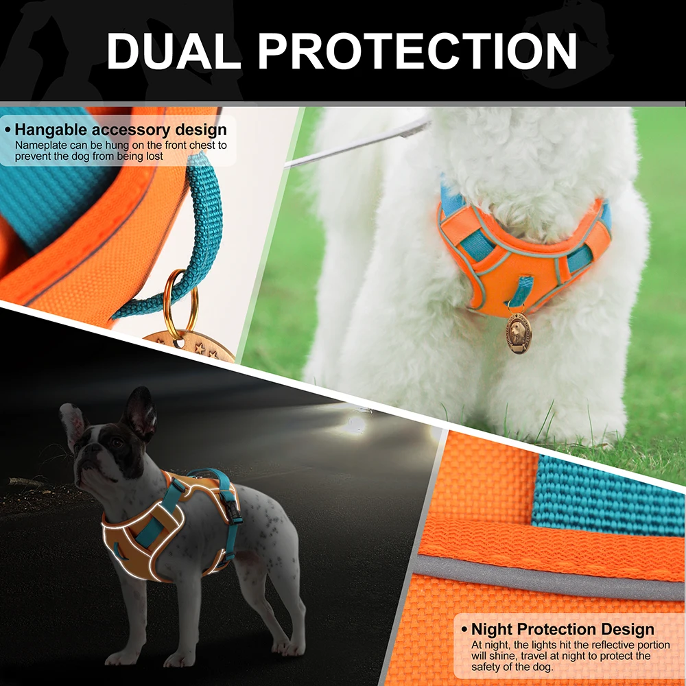 Zenwalk Aube – Harnais pour chien Collection élément fiable