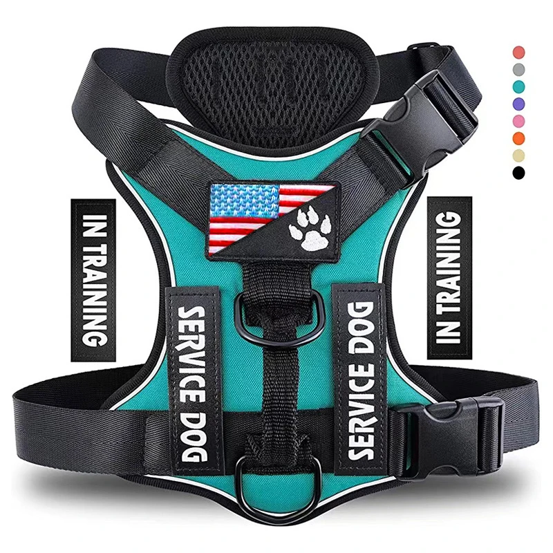 Zenwalk Amercian Phantom – Harnais pour chien Collection Énergie – Turquoise, XS adapté à tous les chiens