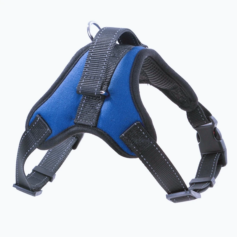 Zenwalk Éclipse – Harnais Collection élément – XL(28-45KG), bleu (nylon) fiable