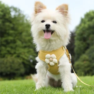 Zenwalk Candy – Pour Chiot et Chat Collection Dream ergonomique et ajustable