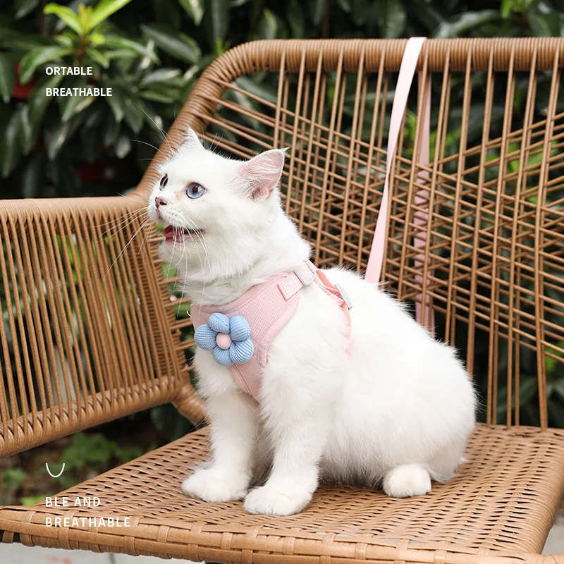 Zenwalk Candy – Pour Chiot et Chat Collection Dream fiable