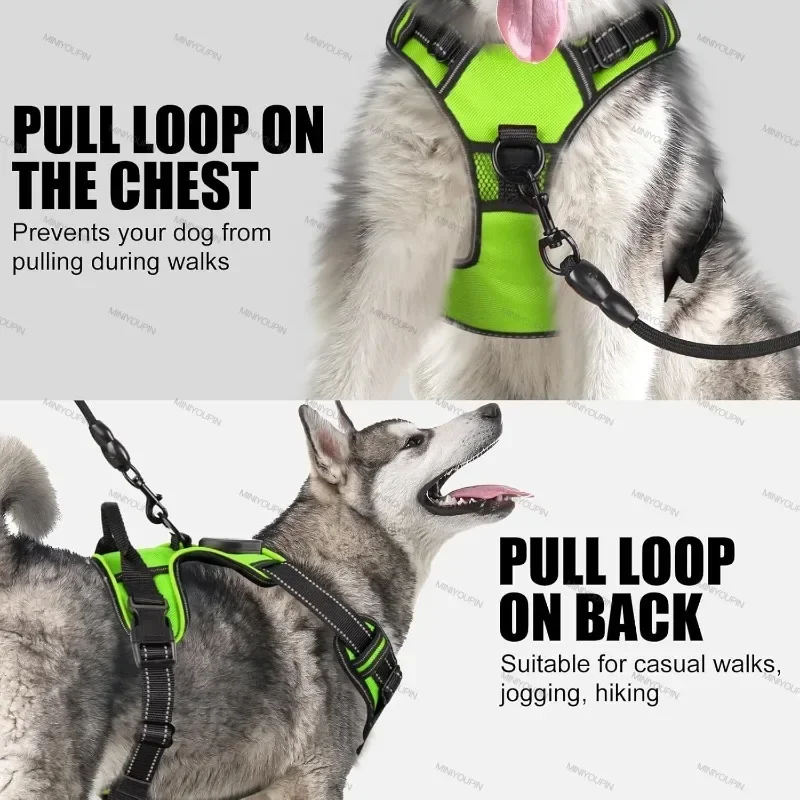 Zenwalk Volt – Harnais pour chien Collection Énergie ergonomique et idéal pour le quotidien