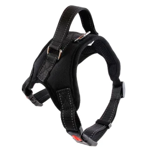 Zenwalk Éclipse – Harnais Collection élément – XS(2.5-5KG), Noir (nylon) robuste