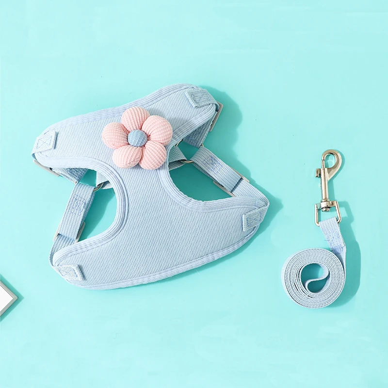Zenwalk Candy – Pour Chiot et Chat Collection Dream – Bleu, XL confortable
