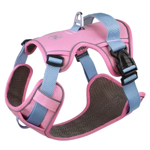 Zenwalk Aube – Harnais pour chien Collection élément – Rose, L respirant