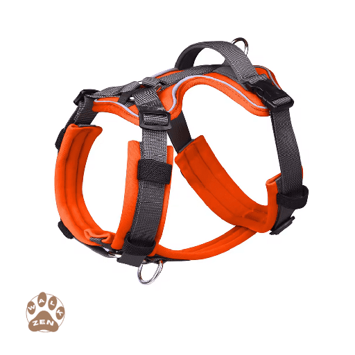 Zenwalk Acier – Harnais pour chien Collection élément – L, Orange respirant