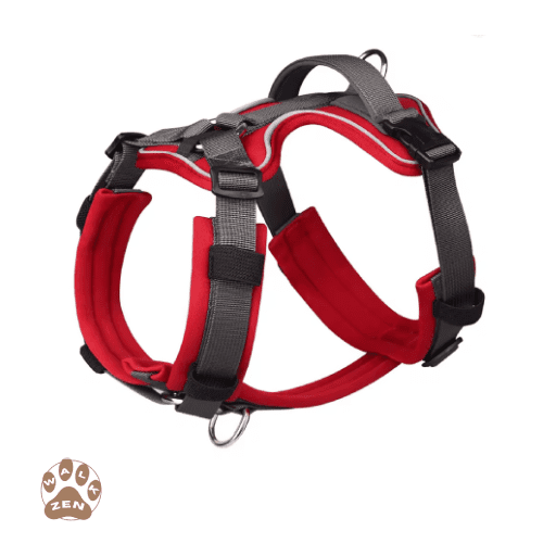 Zenwalk Acier – Harnais pour chien Collection élément – L, Rouge de qualité