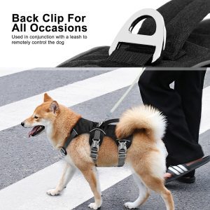 Zenwalk Onyx – Harnais pour chien Collection nature robuste