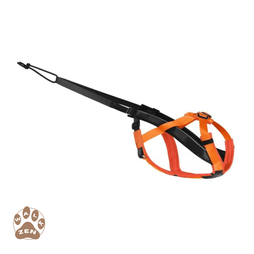 Zenwalk Nitro – Harnais pour chien Collection Énergie – Orange durable