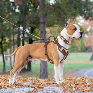 Zenwalk pastel – Harnais pour chien Collection Dream idéal pour le quotidien et ajustable
