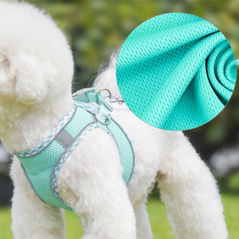Zenwalk Comet – Pour Chiot et Chat Collection Dream résistant et confortable