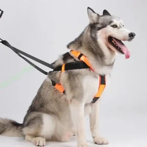 Zenwalk Nitro – Harnais pour chien Collection Énergie résistant et de qualité