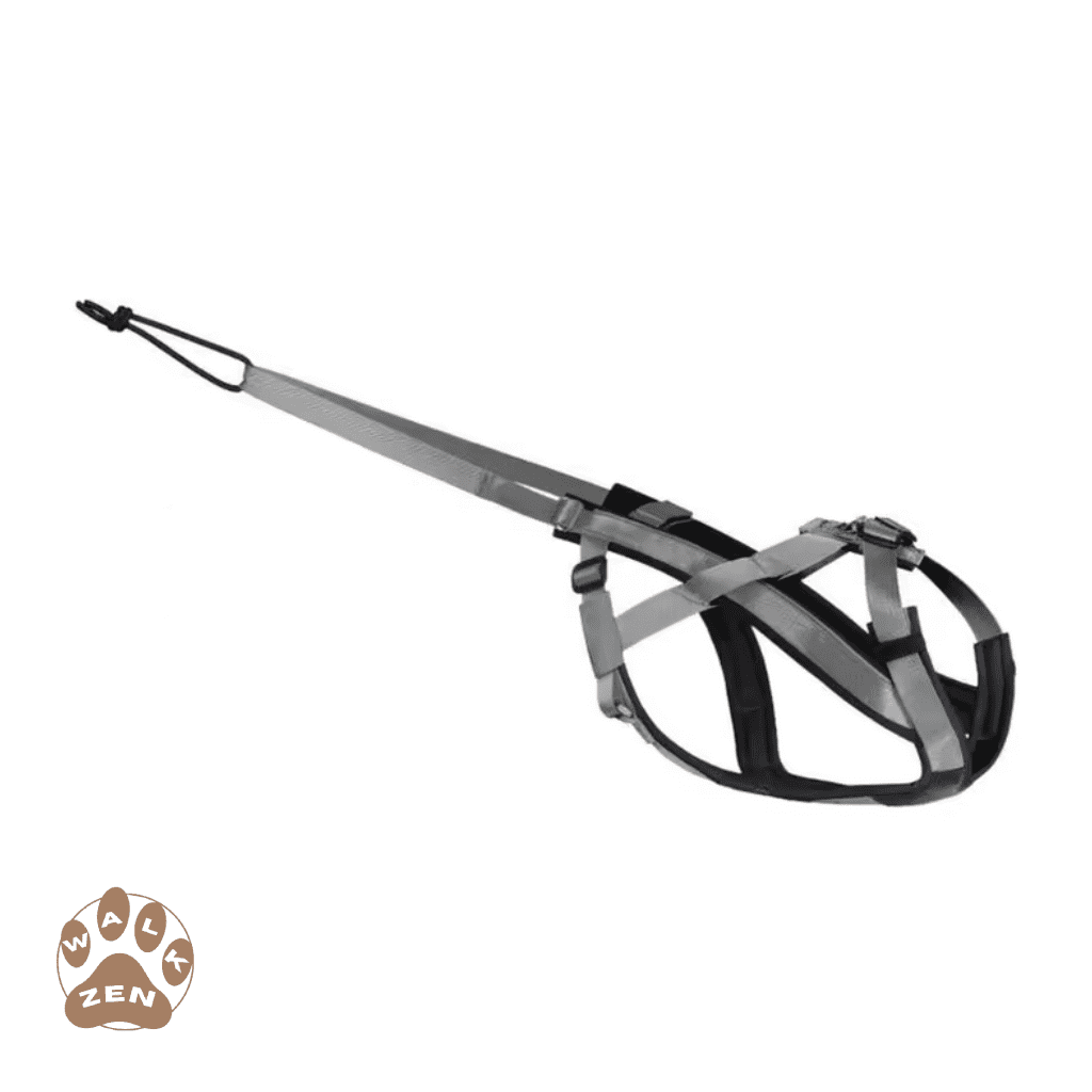 Zenwalk Nitro – Harnais pour chien Collection Énergie – Gris résistant et confortable