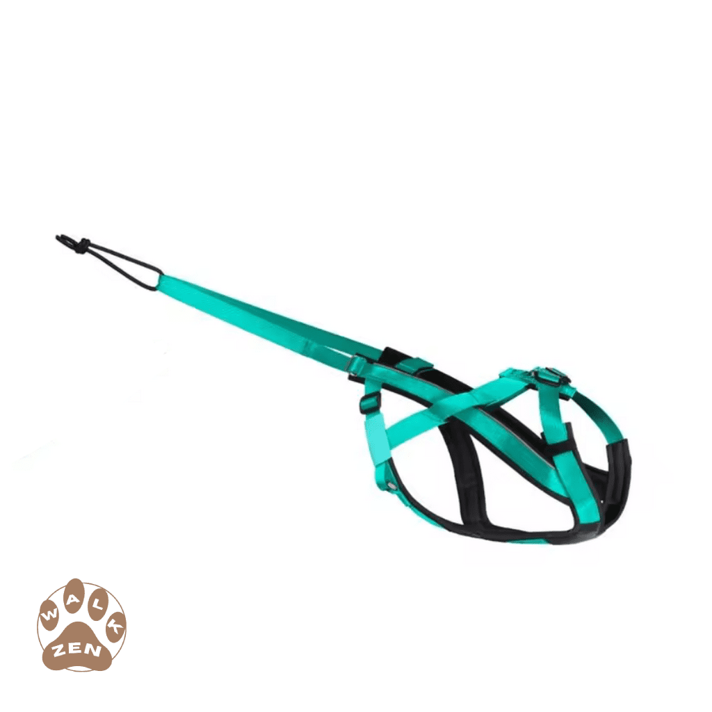 Zenwalk Nitro – Harnais pour chien Collection Énergie – Vert de qualité