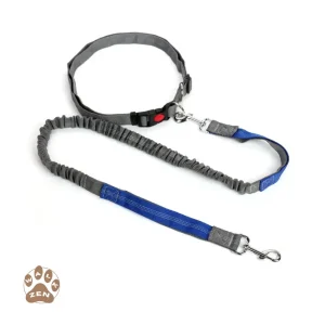 Zenwalk Inferno – Laisse Canicross Collection Énergie – Bleu respirant