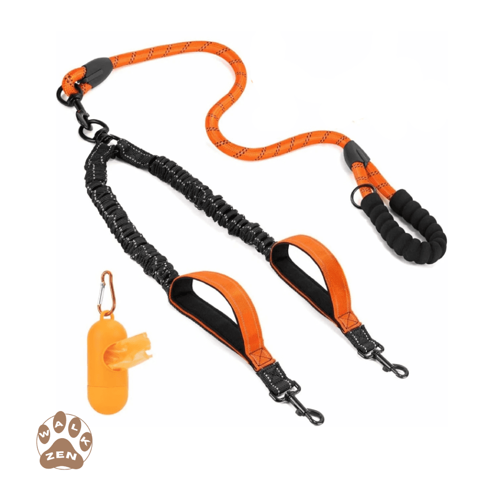 Zenwalk Pulse – Laisse Collection Énergie – Orange de qualité