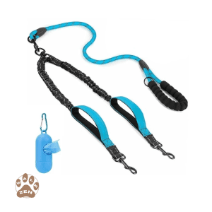 Zenwalk Pulse – Laisse Collection Énergie – Bleu respirant