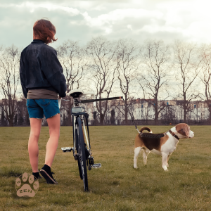 Zenwalk Bike Steel – Laisse pour vélo Collection Énergie idéal pour le quotidien et confortable