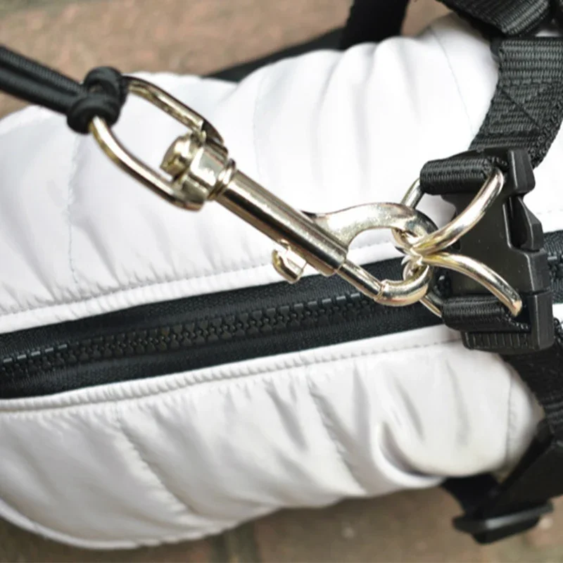 Zenwalk Bike Drift – Laisse pour vélo Collection Éléments idéal pour le quotidien et résistant