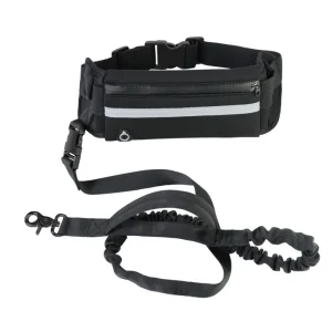 Zenwalk Boost – Laisse Canicross Collection Énergie – Noir ergonomique et robuste