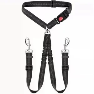 Zenwalk Glide – Laisse Collection Énergie ergonomique
