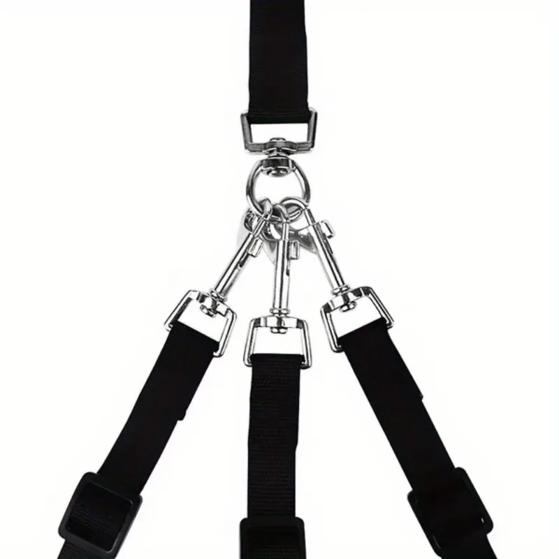 Zenwalk Horizon – Laisse Collection Élements ajustable