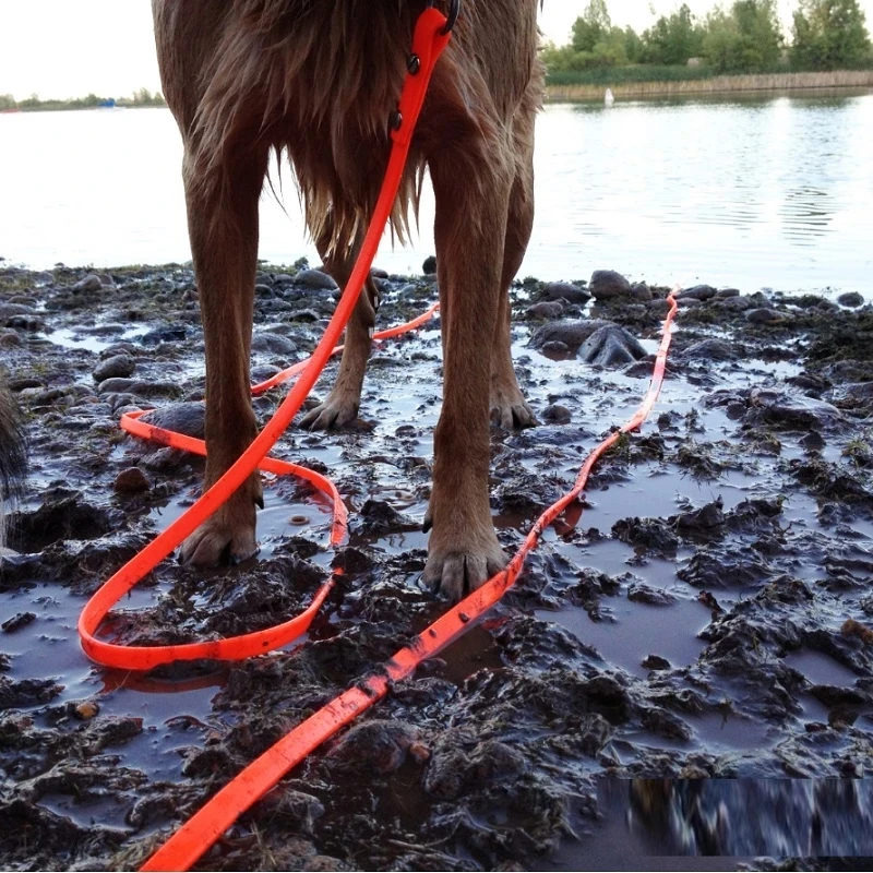Zenwalk Wave – Laisse pour chien Collection Éléments durable