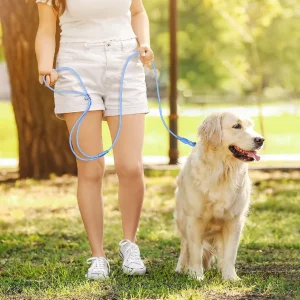 Zenwalk Nova – Laisse pour chien Collection Énergie ajustable